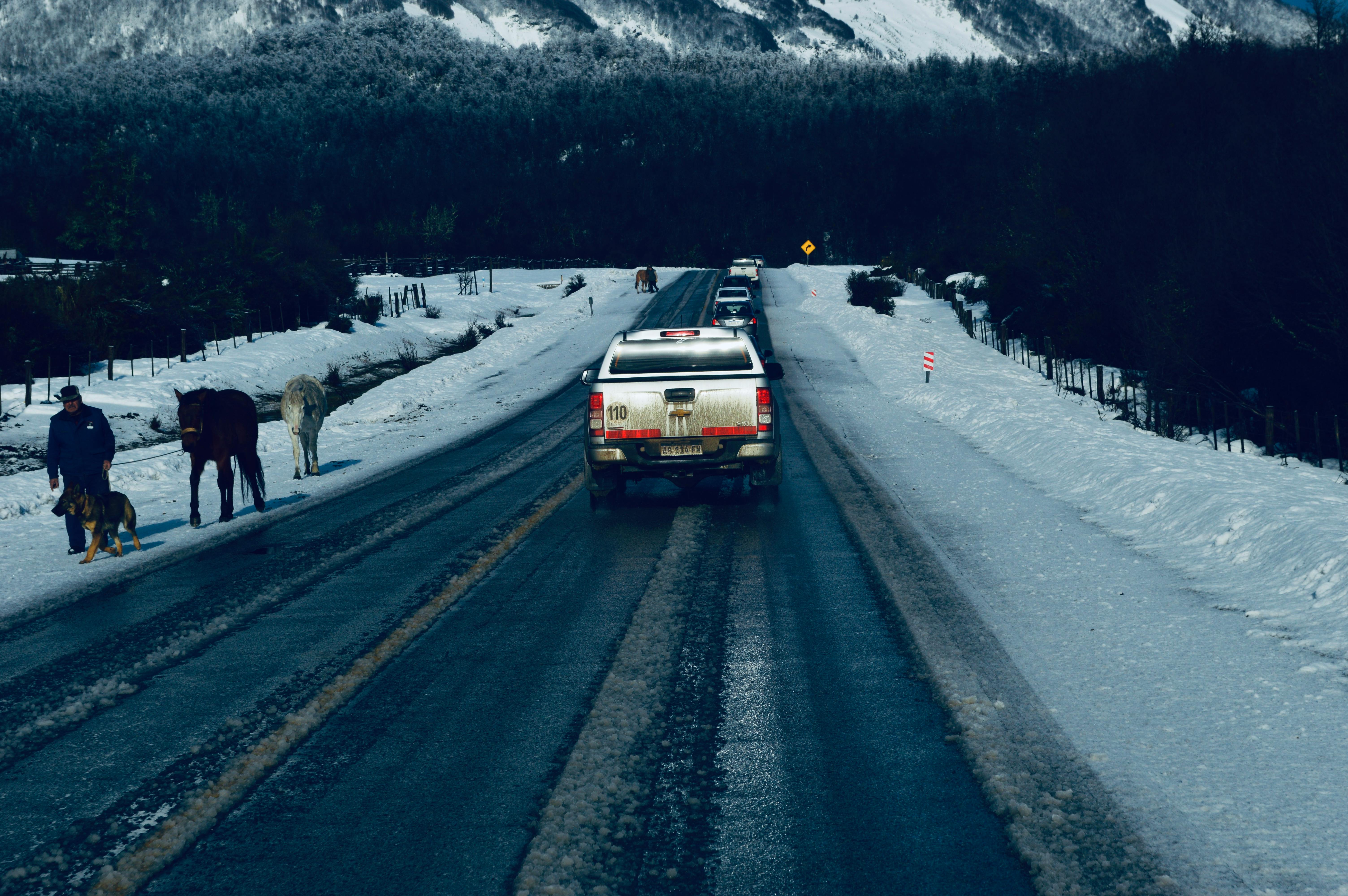 Que voir sur la Route des 7 Lacs, de Bariloche à San Martín de Los Andes ?