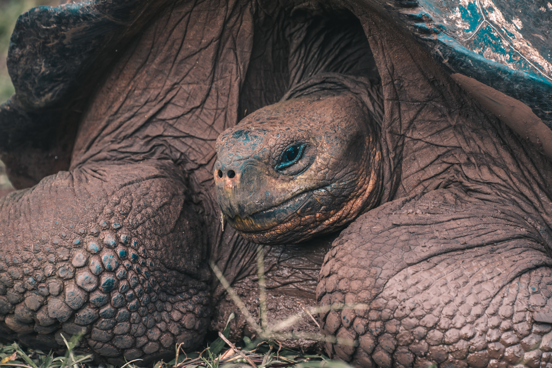 Best Galapagos Tours