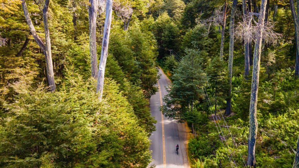 Aluguel De E-bike Em Pequeno Circuito foto 6