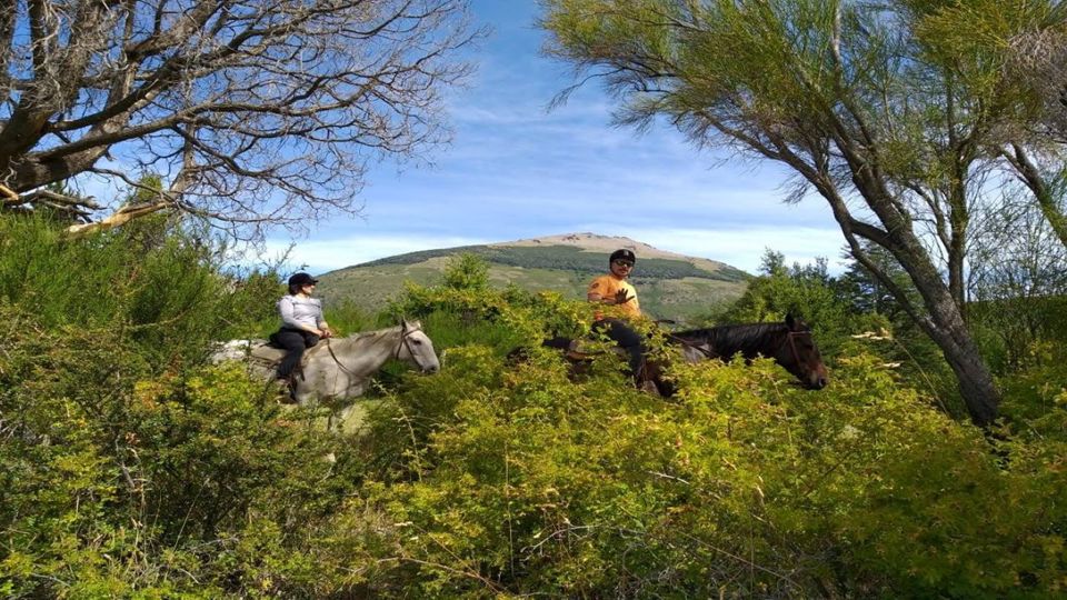 Estância Peuma Hue: Cavalgada Guiada por Trilhas foto 8