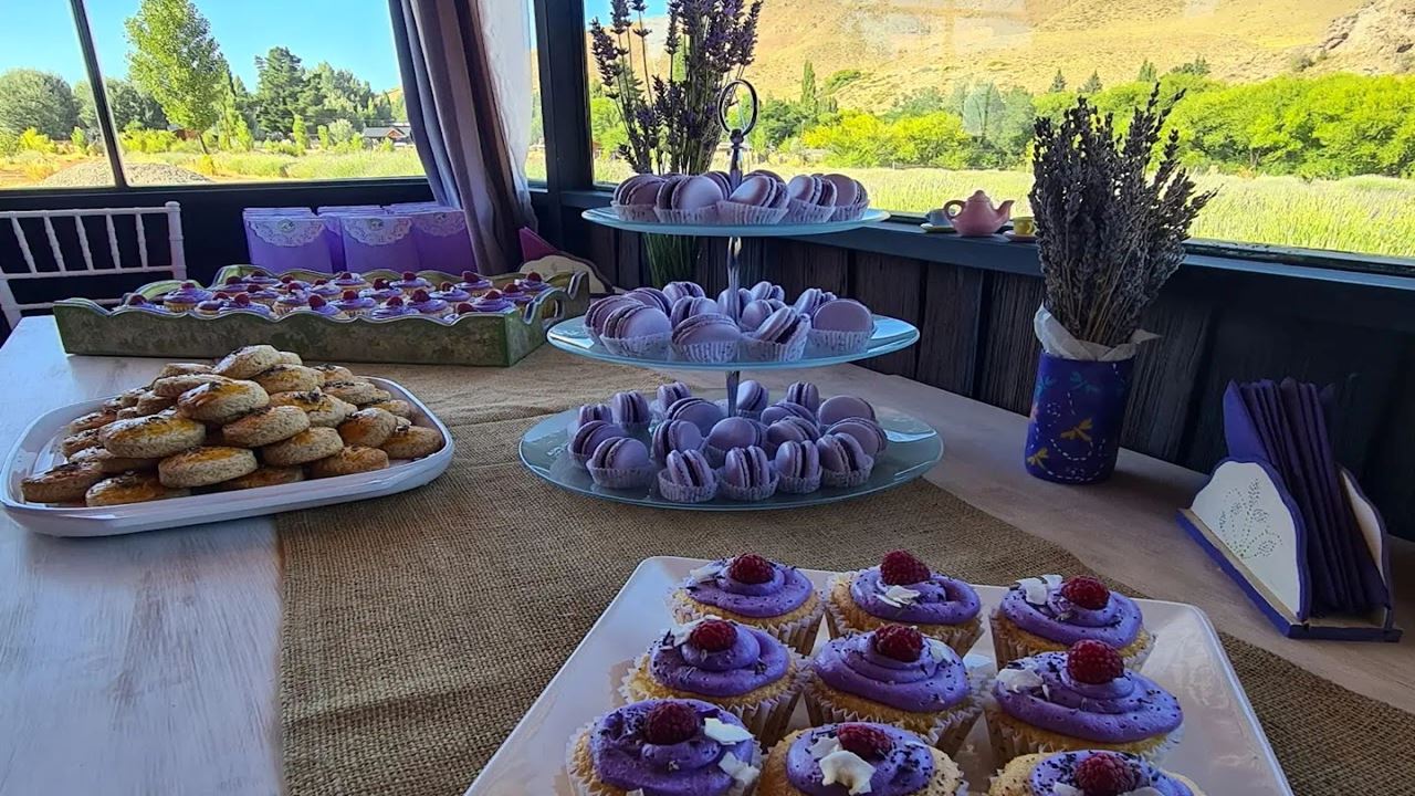Campos De Lavanda Con Merienda (1)