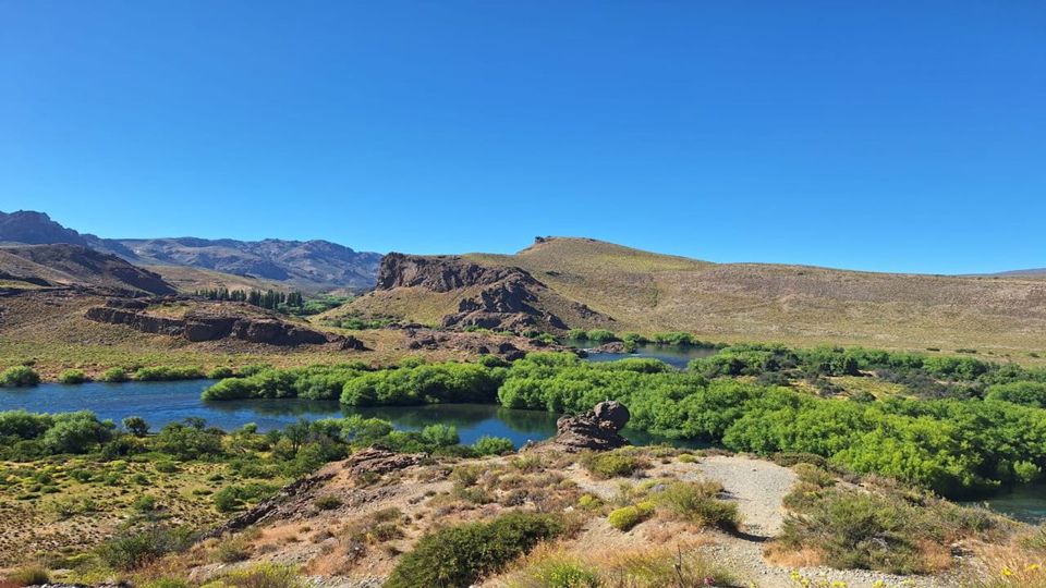 Campos de Lavanda do Limay com Lanche foto 3