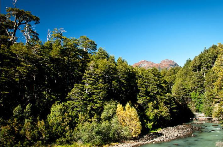 Cruce Andino até Puerto Varas no Dia foto 2