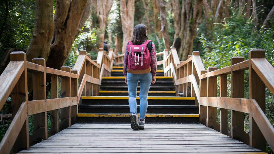 Catamarã para Ilha Victoria e Bosque de Arrayanes foto 1