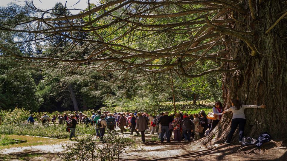 Catamarã para Ilha Victoria e Bosque de Arrayanes foto 11
