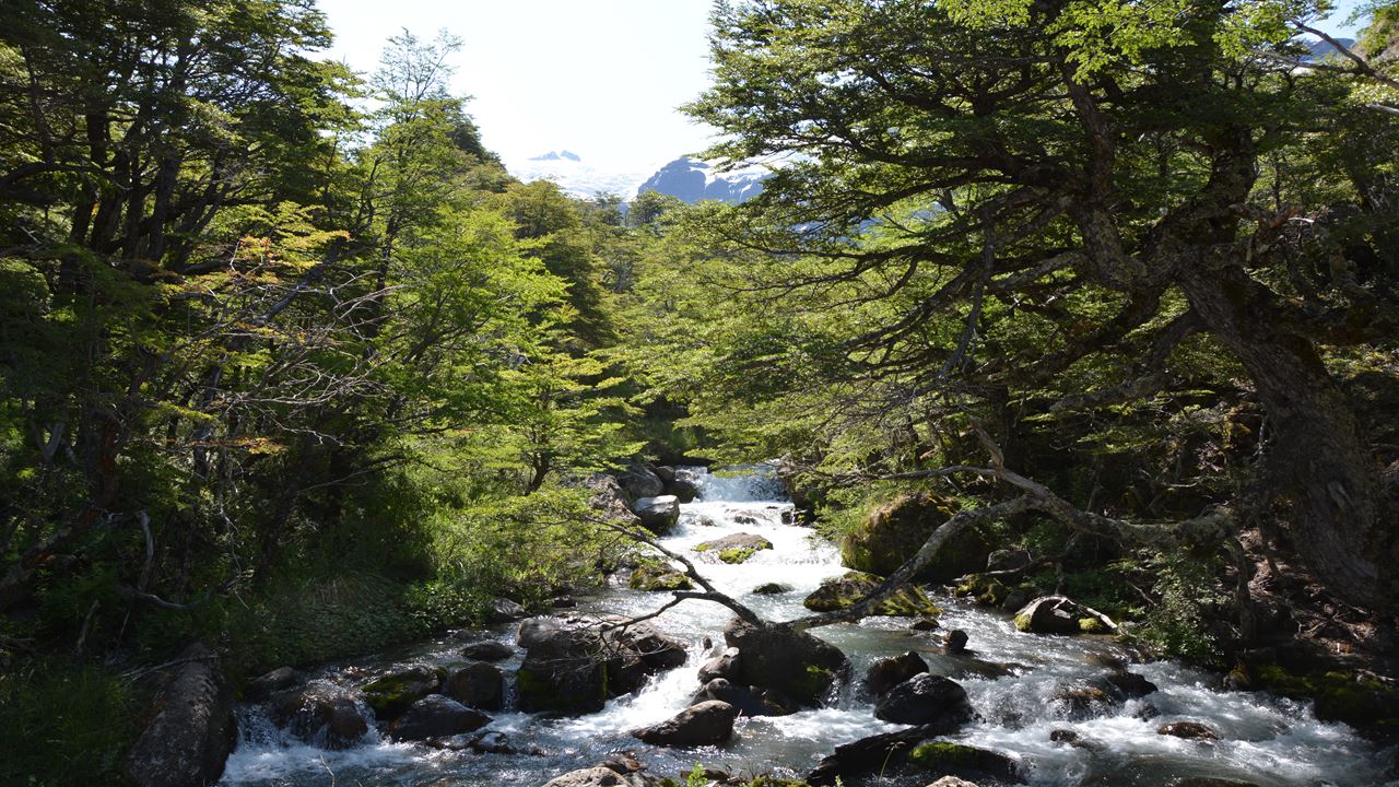 Montanhas E Geleiras Do Monte Tronador (3)