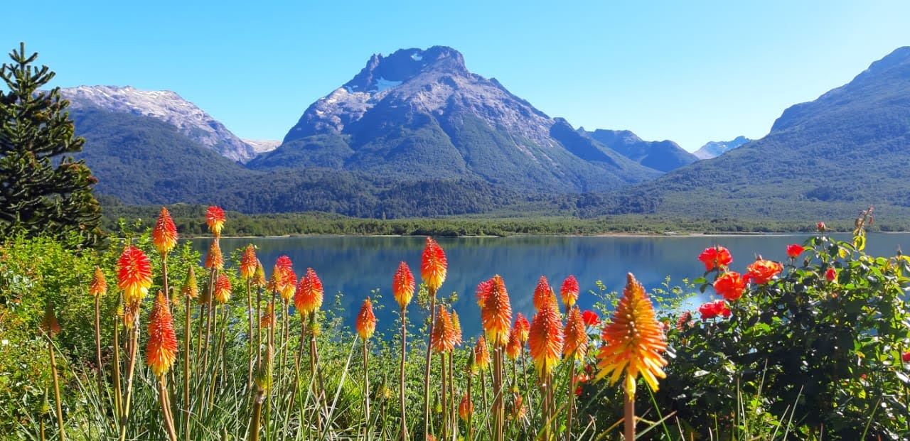 Montanhas E Geleiras Do Monte Tronador (7)