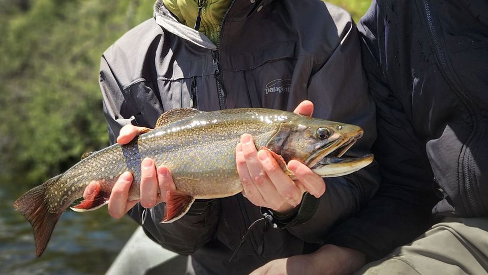 Pesca Com Mosca Nos Lagos Da Patagônia foto 6
