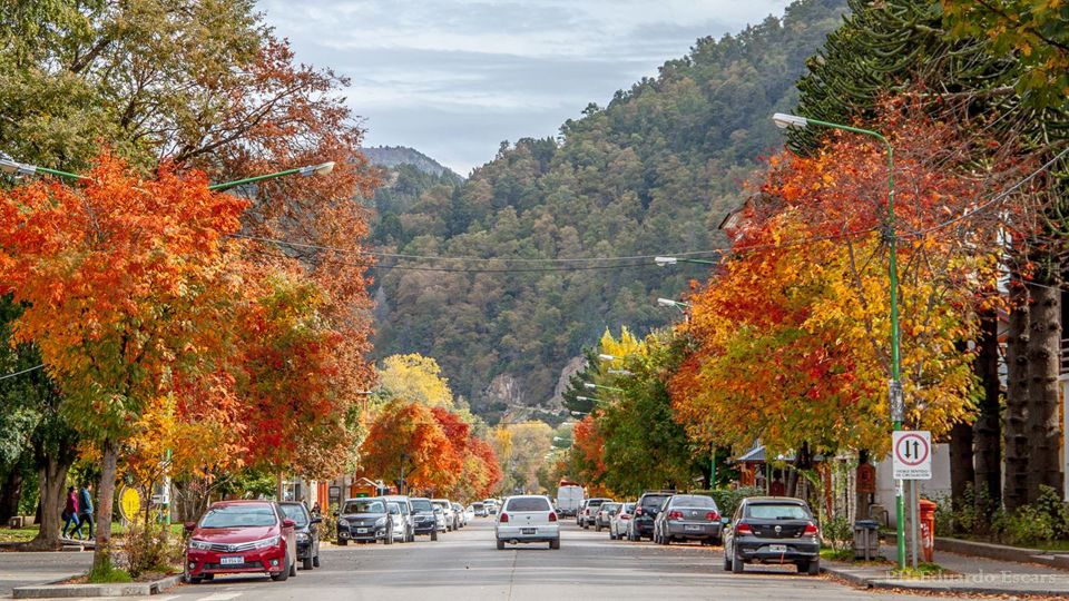 A San Martín de Los Andes pelos 7 Lagos foto 4