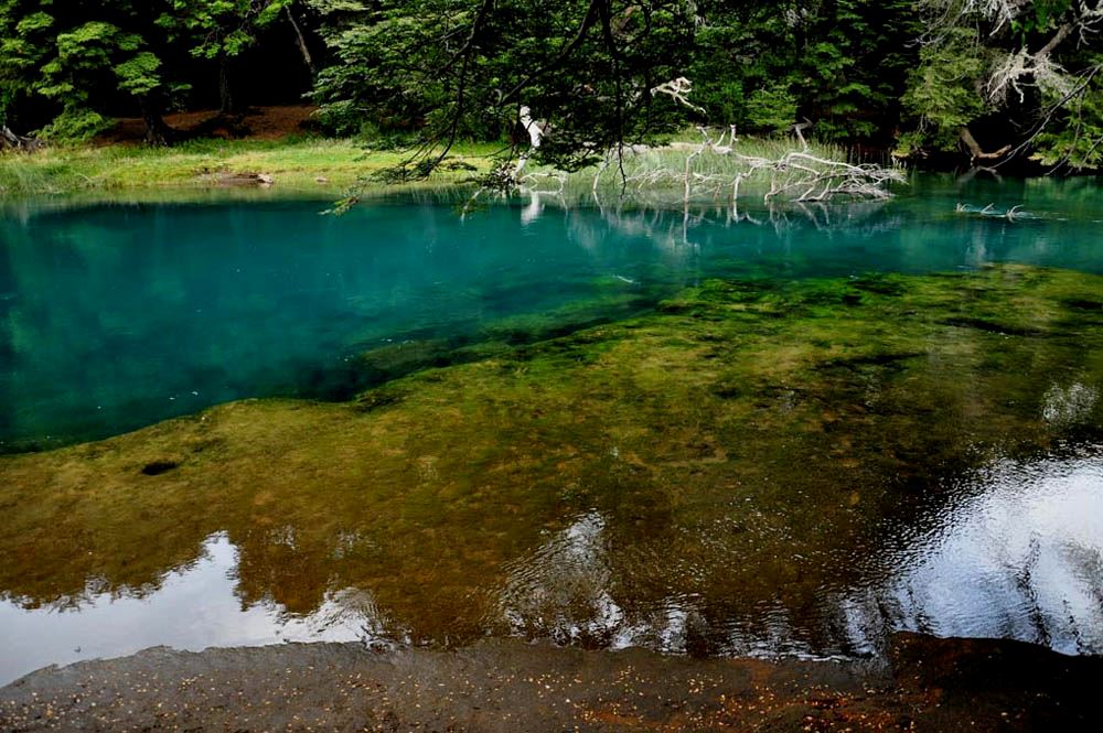 Paquete Turistico Bariloche Deluxe foto 7