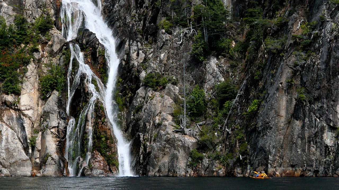 Full Day Kayaking Along The Tristeza Arm
