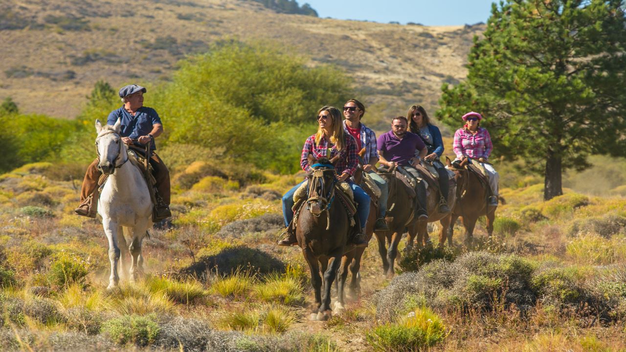 Promo: Circuito Chico, Cabalgata Y Traslados Al Aeropuerto
